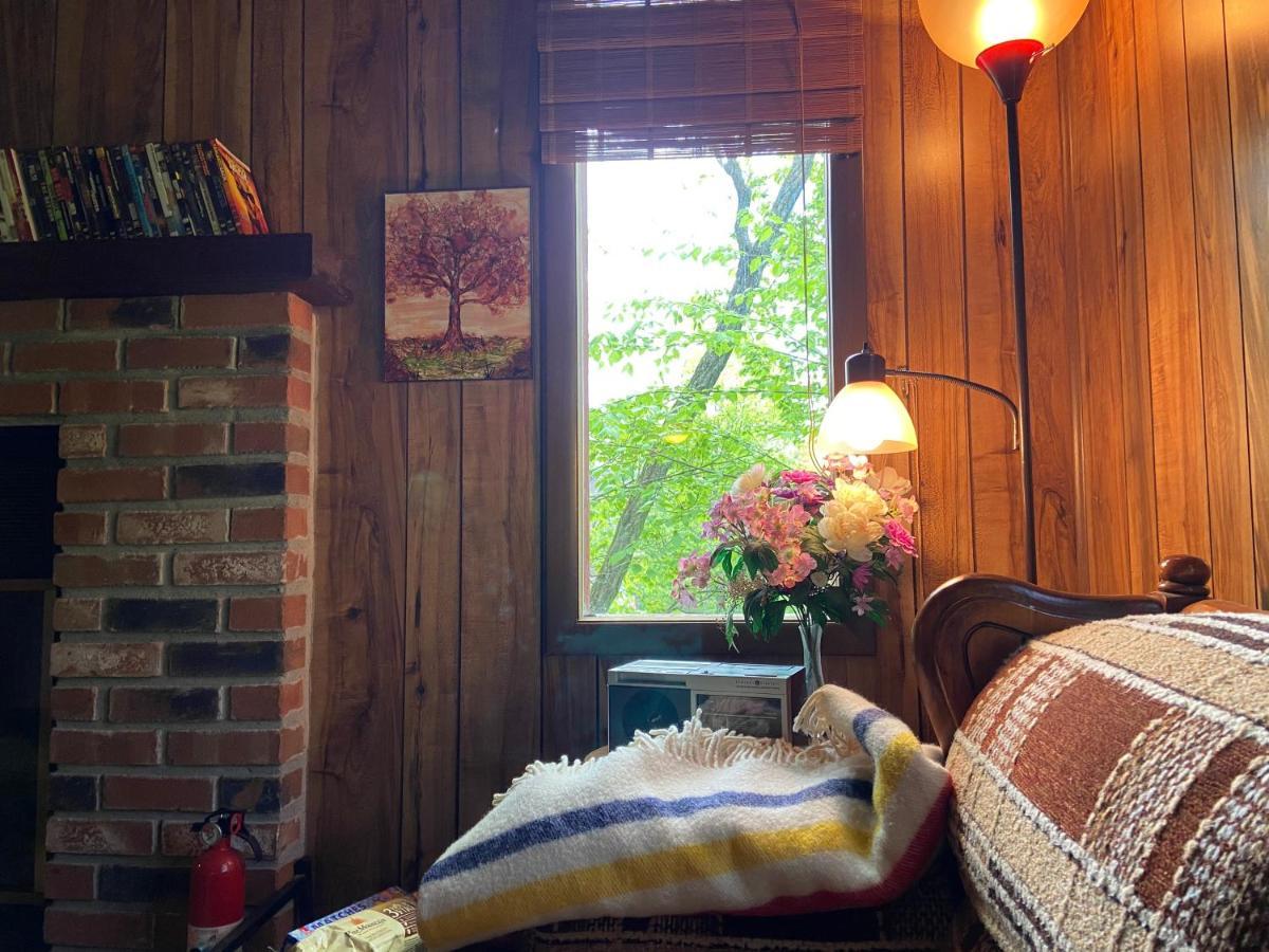 Saw Creek Cabin - Regent Hilltop Bushkill Exterior foto